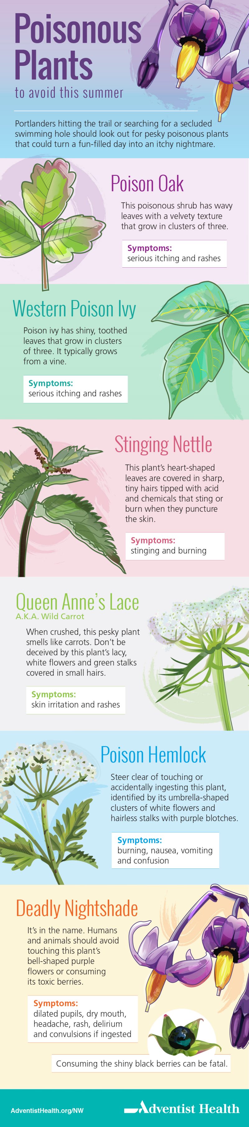 AMC_PoisonousPlants_Infographic